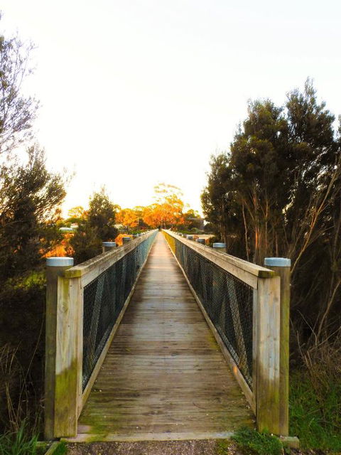 Moomba Holiday And Caravan Park - Accommodation Sunshine Coast 3