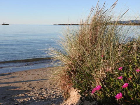 Moomba Holiday And Caravan Park - Accommodation Sunshine Coast 1