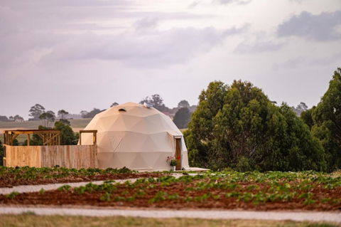 Mount Gnomon Farm - Accommodation Sunshine Coast 0