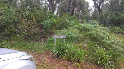 Mountain Tranquility - Accommodation Sunshine Coast 3