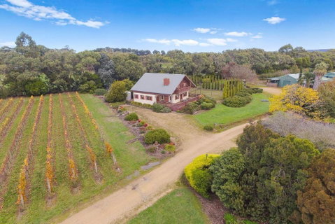 Northway Downs Estate Vineyard - Accommodation Sunshine Coast 3