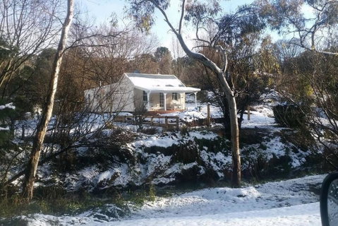 Old Oak Tree Cottage - Accommodation Sunshine Coast 1