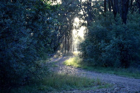On Bell Glamping - Accommodation Sunshine Coast 3