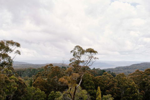 Osborn House - Accommodation Sunshine Coast 1