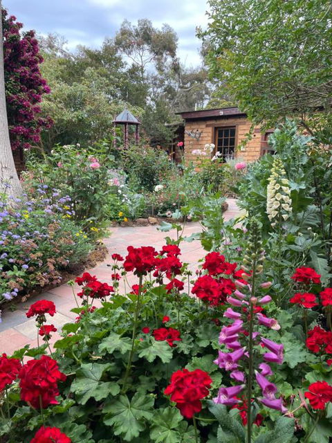 Patricias Garden Studio - Accommodation Sunshine Coast 0