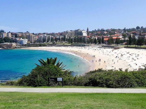 Penthouse Apartment Ocean Views - Accommodation Sunshine Coast 2