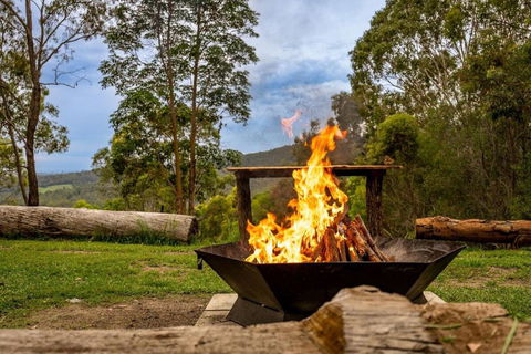 Personal Sauna & Ice-bath At Kookaburra Cabin - Accommodation Sunshine Coast 2