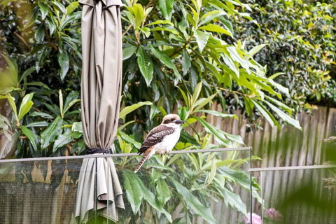 Quaint Queen Room - Central Location At Pymble - Shared Bathroom - Accommodation Sunshine Coast 1