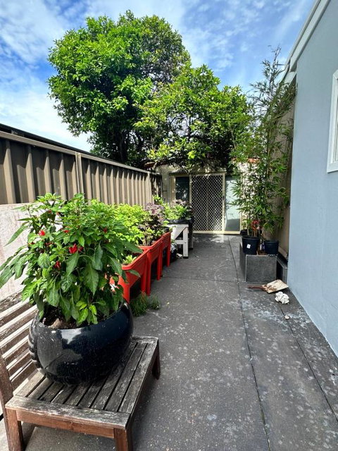 Private, Local Living Studio In Mascot, Airport - Accommodation Sunshine Coast 2