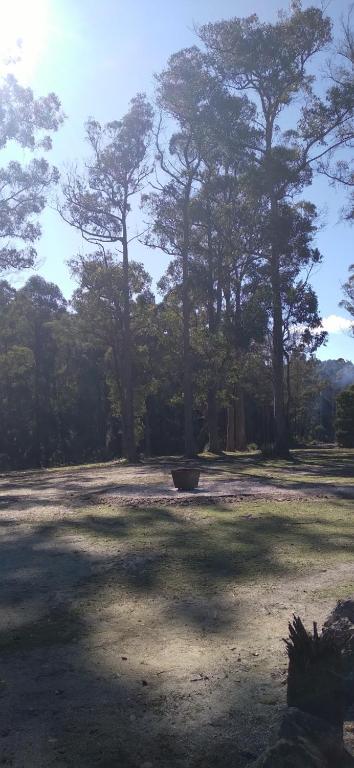 Rail Trail Retreat - Accommodation Sunshine Coast 2