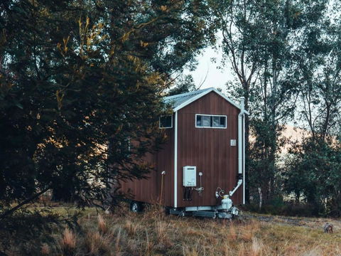 Raintree Farmstay By Tiny Away - Accommodation Sunshine Coast 1