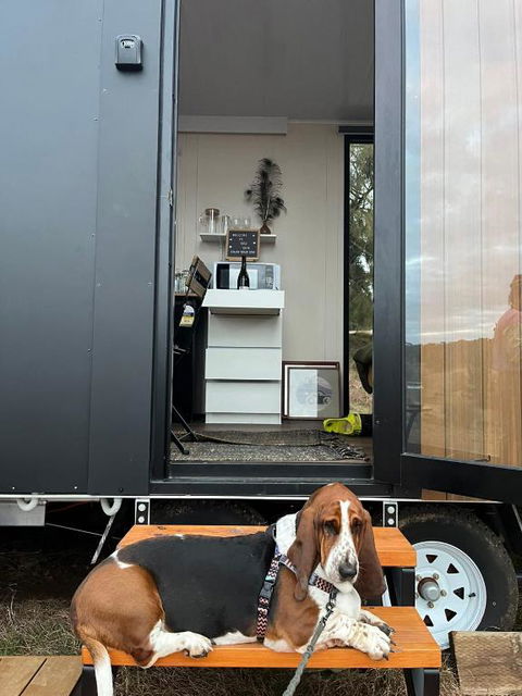 Red Gum At Aranya Acres By Tiny Away - Accommodation Sunshine Coast 3