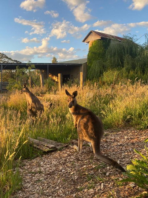 Private Country Escape With Valley Views - Accommodation Sunshine Coast 2