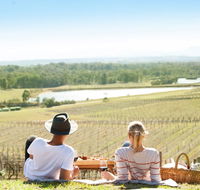 Audrey Wilkinson Vineyard - Accommodation Sunshine Coast