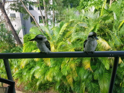 Baden 45 - Rainbow Shores, Beachside Unit, Aircon, Swimming Pool, Tennis Court - Accommodation Sunshine Coast 3
