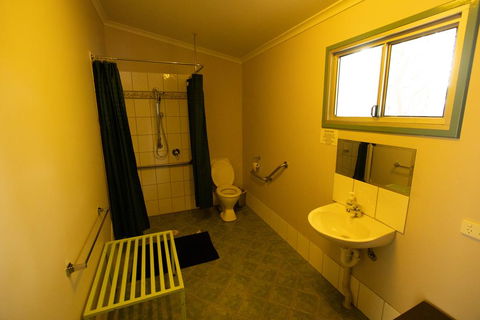 Banyan Tree - Accommodation Sunshine Coast 1