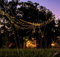 Banyan Tree - Accommodation Sunshine Coast