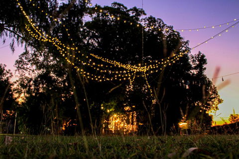 Banyan Tree - Accommodation Sunshine Coast 0