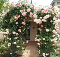 Baudins of Busselton Bed and Breakfast - Accommodation Sunshine Coast