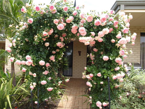 Baudins Of Busselton Bed And Breakfast - Accommodation Sunshine Coast 0