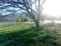 Book Dadswells Bridge Accommodation Vacations Accommodation Sunshine Coast Accommodation Sunshine Coast