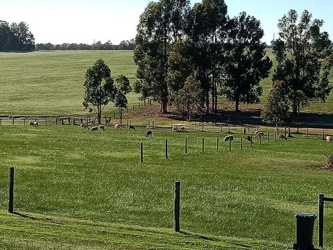 Redtail Ridge Cottages - Accommodation Sunshine Coast 1