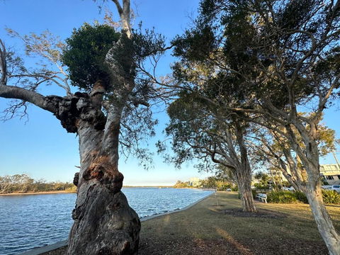 River Gum Apartment - Accommodation Sunshine Coast 2