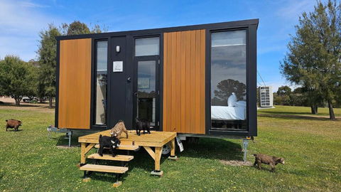 Roccos Retreat By Tiny Away - Accommodation Sunshine Coast 0