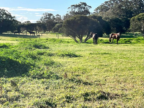 Secluded Rural Retreat In Southwest WA - Accommodation Sunshine Coast 3