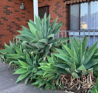 Beautiful Bedroom in Bentleigh East - Accommodation Sunshine Coast