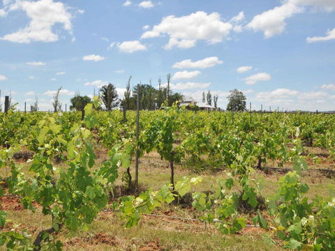 Beggars Bridge Vineyard Homestead W/ Pool + Wifi + Tennis + Vineyard - Accommodation Sunshine Coast 2