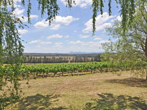 Beggars Bridge Vineyard Homestead W/ Pool + Wifi + Tennis + Vineyard - Accommodation Sunshine Coast 3