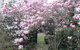 Bellawongarah At Berry - thumb 1