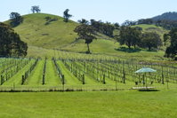 Book Mount Cole Accommodation Vacations Accommodation Sunshine Coast Accommodation Sunshine Coast