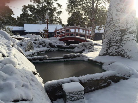 Blue Lake Lodge - Accommodation Sunshine Coast 3