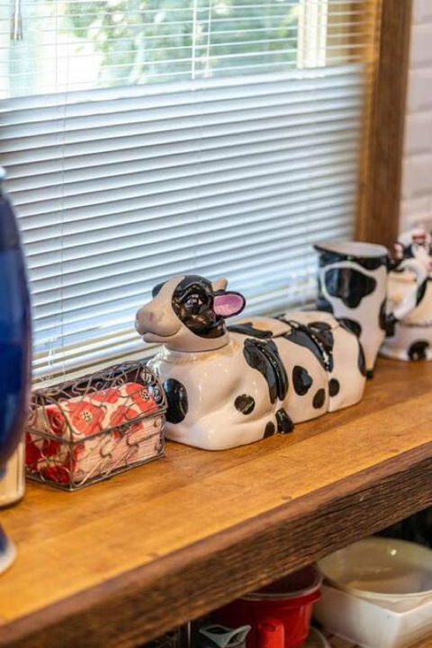 The Spotted Cow,city Fringe,pet Friendly-Free Wine - Accommodation Sunshine Coast 2
