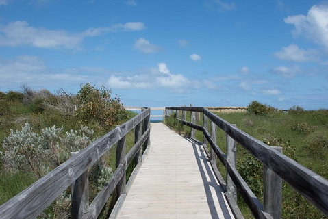 Yanchep & Lancelin - Wildlife, Cave And Sands - Accommodation Sunshine Coast 2