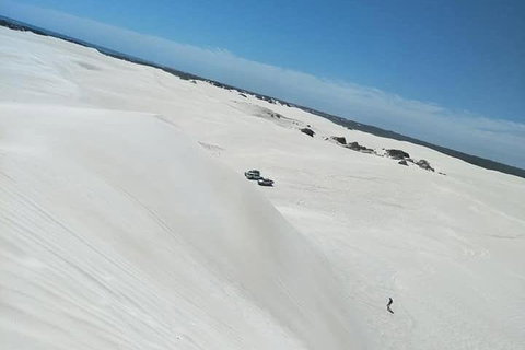 Yanchep & Lancelin - Wildlife, Cave And Sands - Accommodation Sunshine Coast 3