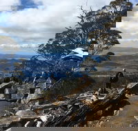 kunanyi / Mt Wellington Explorer Bus - 2 Hour Return Tour - Accommodation Sunshine Coast