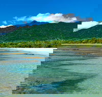8-Day Cairns Tour Great Barrier Reef Kuranda Daintree Rainforest - Accommodation Sunshine Coast