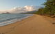 Cairns Reef And Rainforest Combo: Daintree Rainforest And The Great Barrier Reef - thumb 4