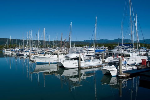 Cairns Reef And Rainforest Combo: Daintree Rainforest And The Great Barrier Reef - Accommodation Sunshine Coast 5