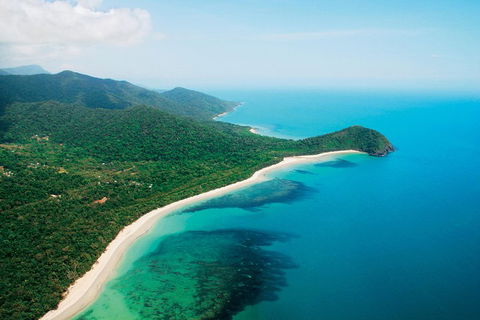 Cape Tribulation, Mossman Gorge, And Daintree Rainforest Premium Day Tour - Accommodation Sunshine Coast 2