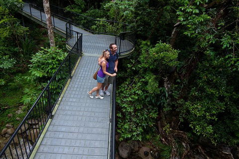 Cape Tribulation, Mossman Gorge, And Daintree Rainforest Premium Day Tour - Accommodation Sunshine Coast 3