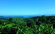 Cape Tribulation, Mossman Gorge, And Daintree Rainforest Premium Day Tour - thumb 5