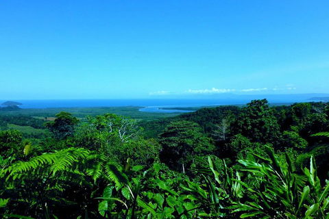 Cape Tribulation, Mossman Gorge, And Daintree Rainforest Premium Day Tour - Accommodation Sunshine Coast 5