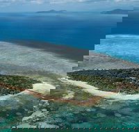 4-Day Cairns with Great Barrier Reef and Daintree Rainforest - Accommodation Sunshine Coast