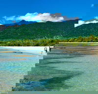 Private Daintree National Park Day Tour from Cairns Including Cape Tribulation and Mossman Gorge - Accommodation Sunshine Coast
