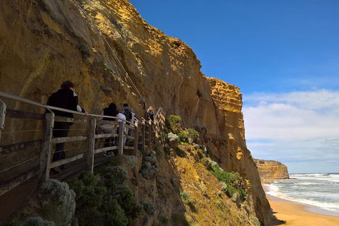 Private Express Experience - 12 Apostles - Accommodation Sunshine Coast 3