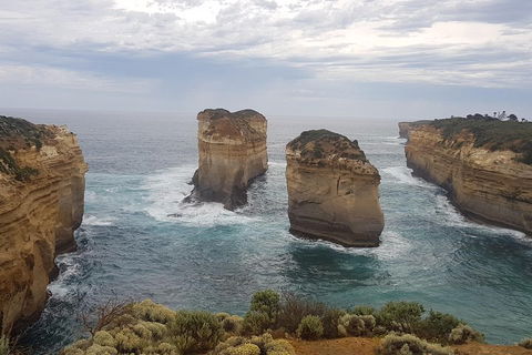 Private Express Experience - 12 Apostles - Accommodation Sunshine Coast 5